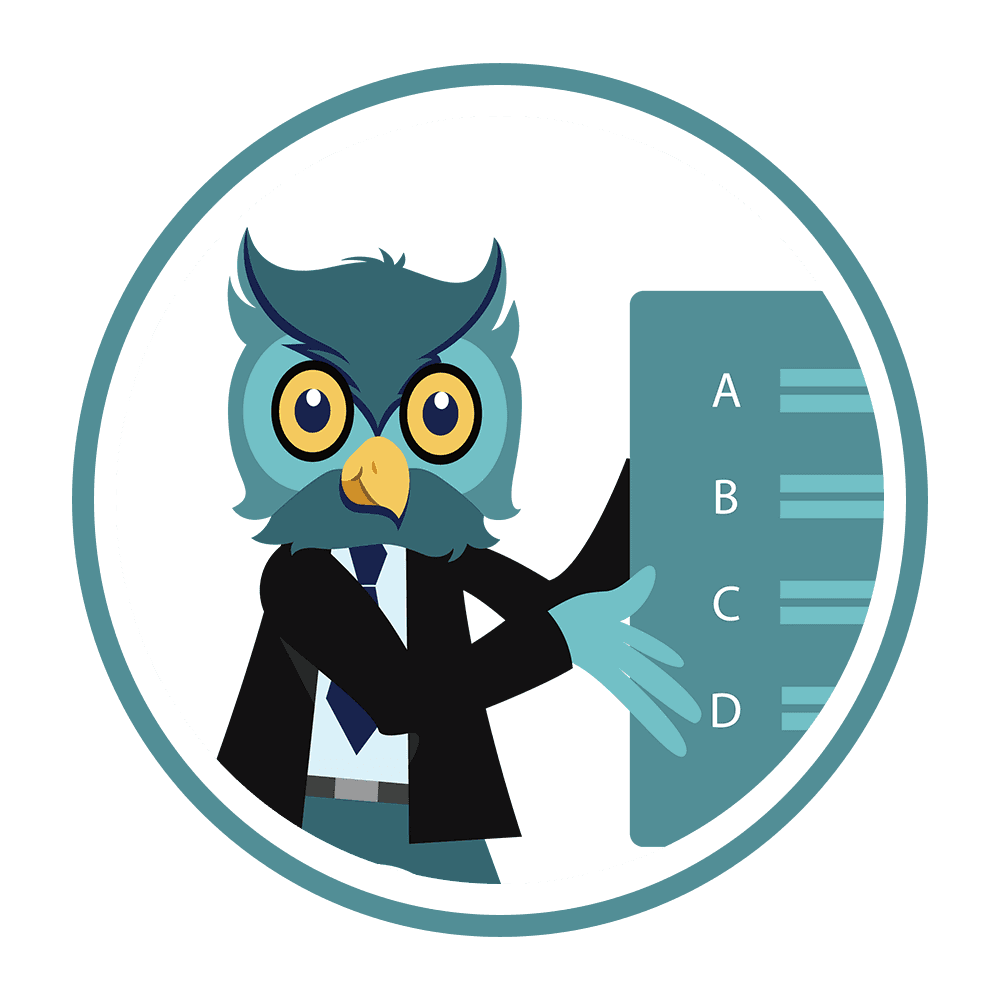 Owl Assessment Tool